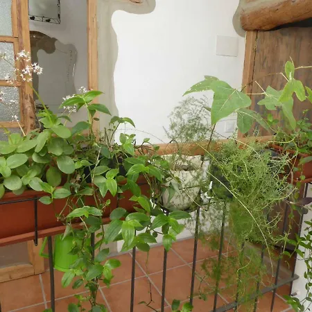 Casa De Cáliz